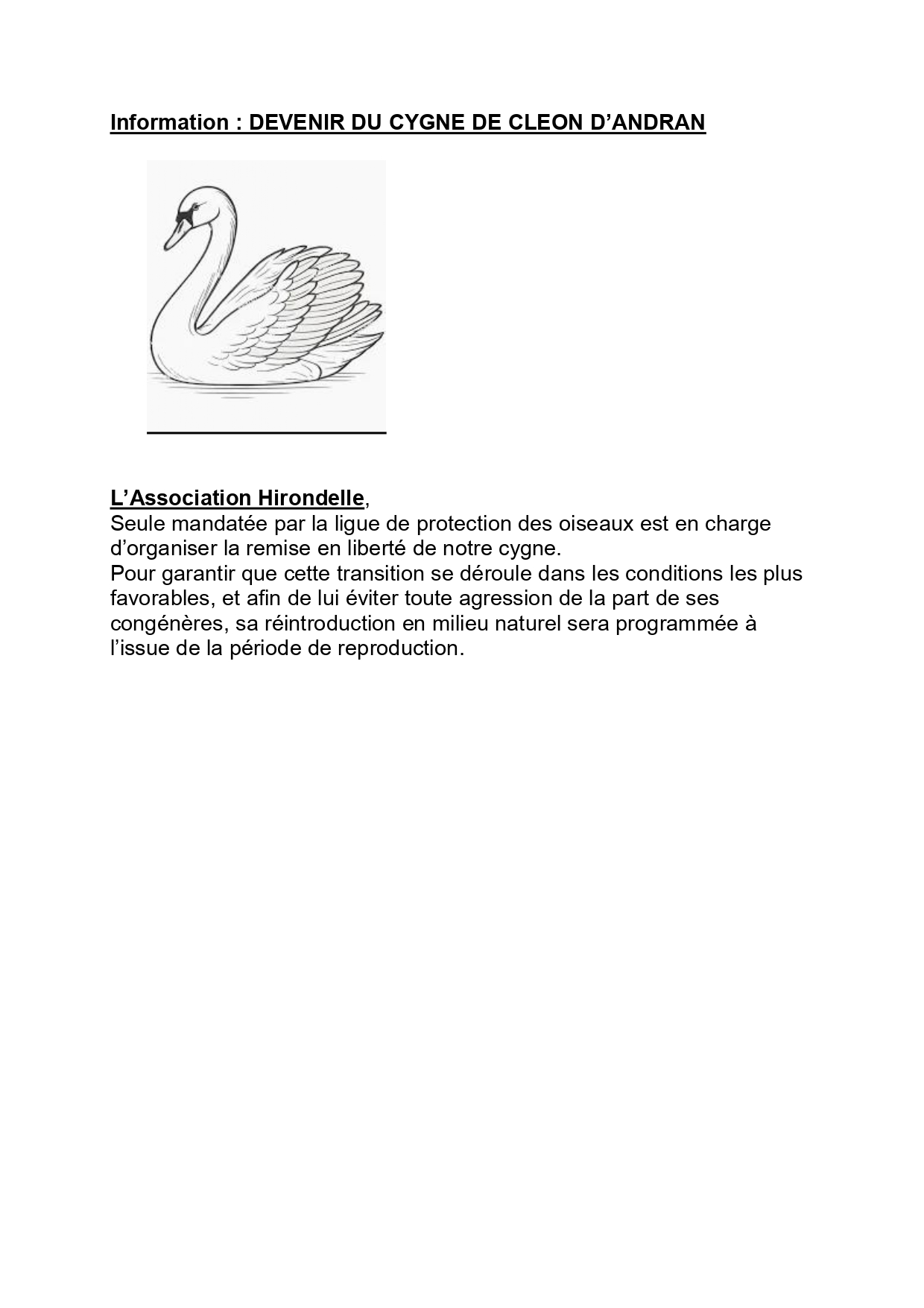 Image mise en avant de l'article